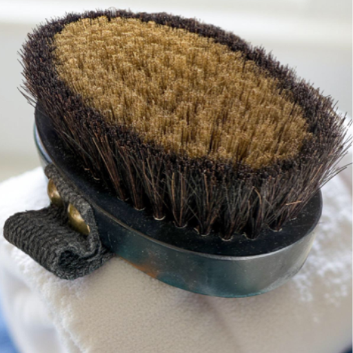 Ion Copper Body Brush